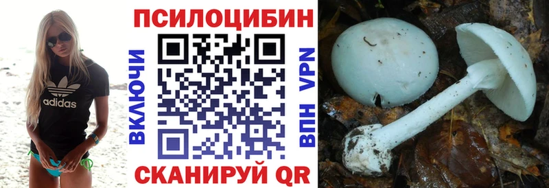закладки  Среднеколымск  Псилоцибиновые грибы ЛСД 